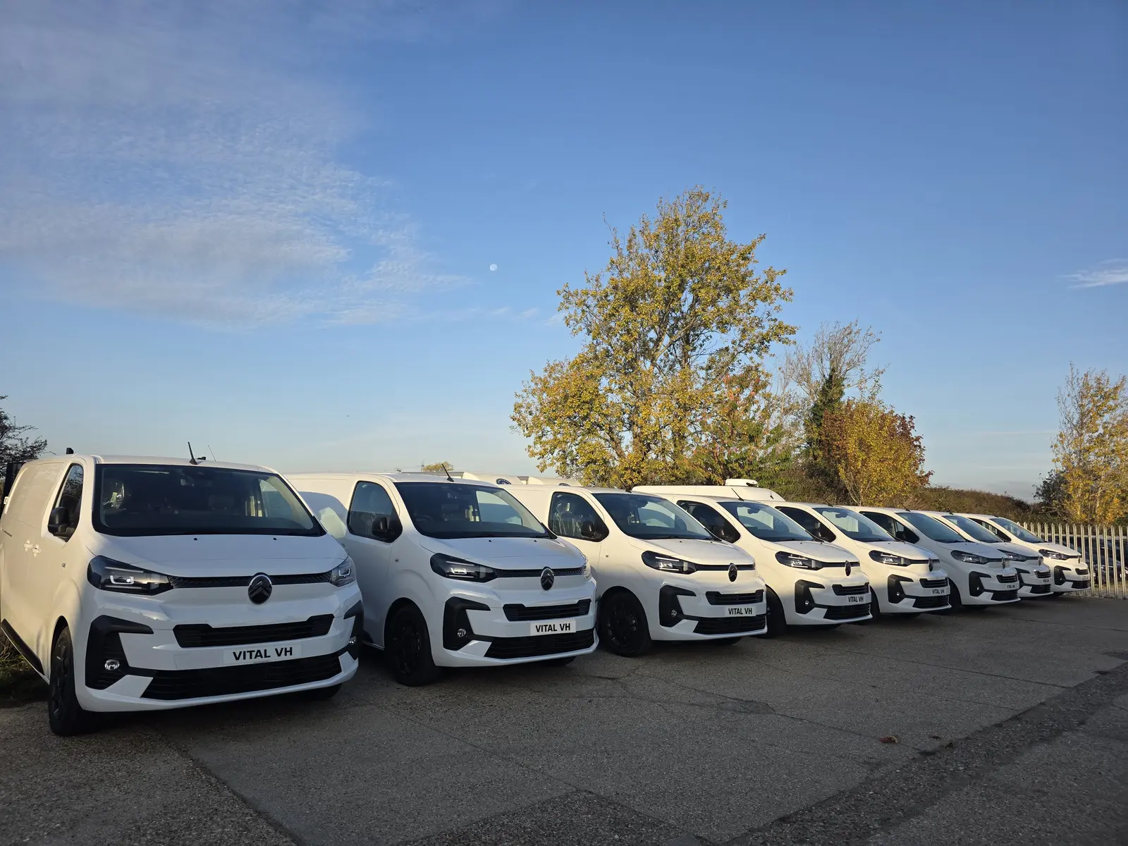 A line of brand new white Vital Vehicle Hire vans parked at the yard